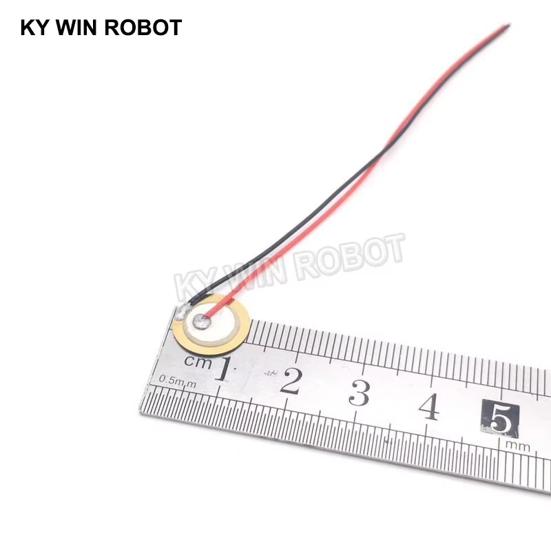 10 قطع من الرقائق السيراميكية  - مراجعة Diy Electronic Components وسعره