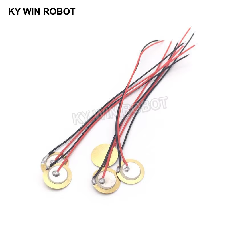 10 قطع من الرقائق السيراميكية  - مراجعة Diy Electronic Components وسعره